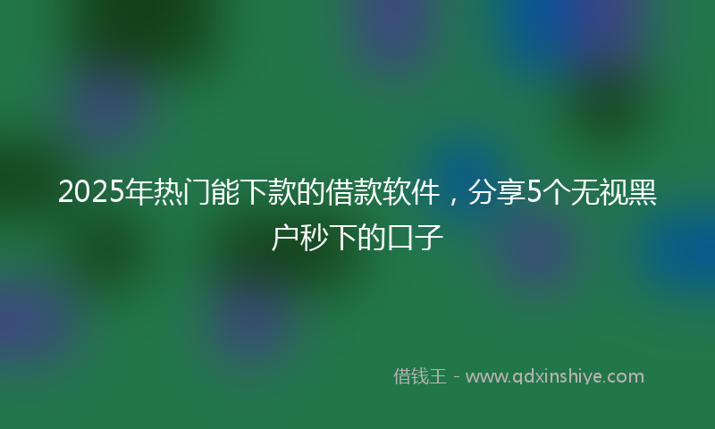 2025年热门能下款的借款软件，分享5个无视黑户秒下的口子