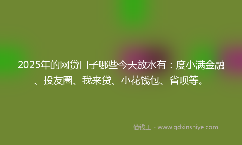 2025年的网贷口子哪些今天放水有：度小满金融、投友圈、我来贷、小花钱包、省呗等。