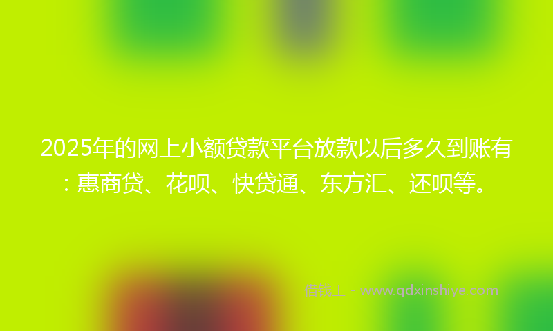 2025年的网上小额贷款平台放款以后多久到账有：惠商贷、花呗、快贷通、东方汇、还呗等。