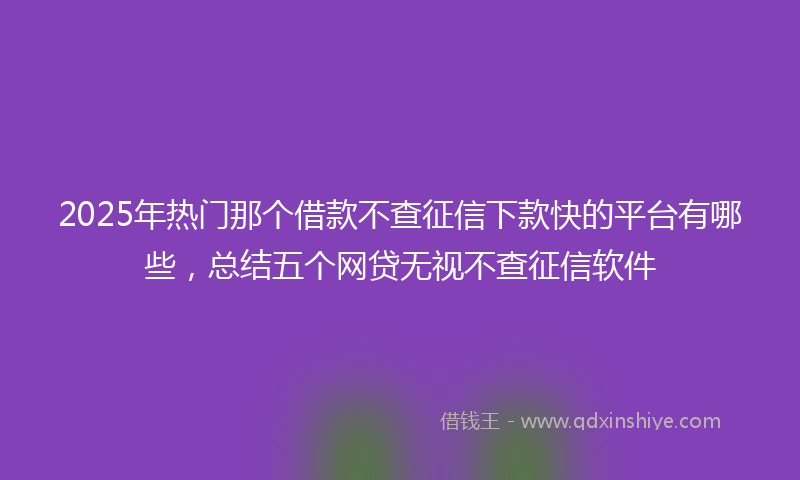2025年热门那个借款不查征信下款快的平台有哪些，总结五个网贷无视不查征信软件