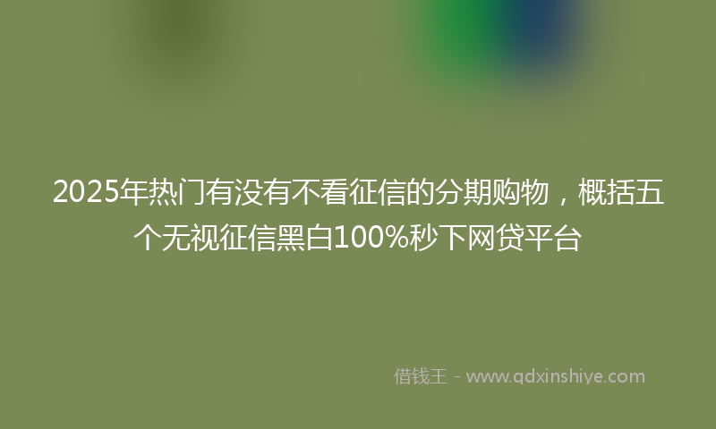 2025年热门有没有不看征信的分期购物，概括五个无视征信黑白100%秒下网贷平台
