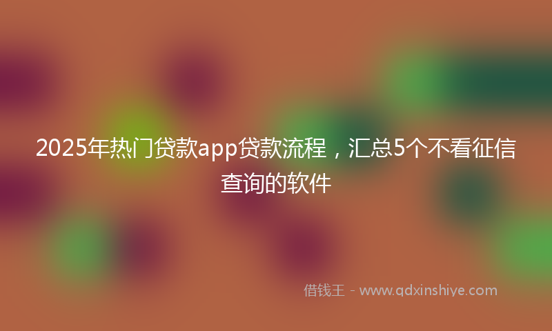 2025年热门贷款app贷款流程，汇总5个不看征信查询的软件