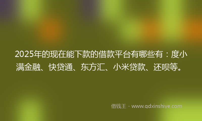 2025年的现在能下款的借款平台有哪些有：度小满金融、快贷通、东方汇、小米贷款、还呗等。