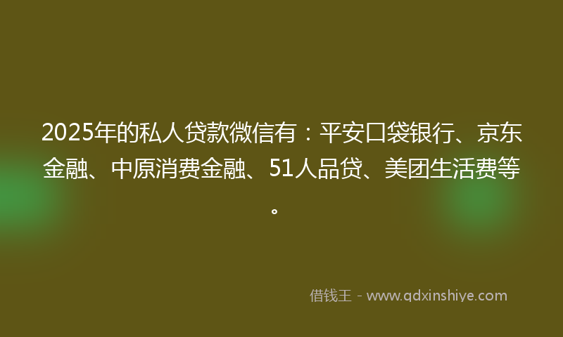 2025年的私人贷款微信有：平安口袋银行、京东金融、中原消费金融、51人品贷、美团生活费等。