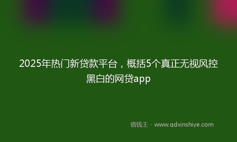2025年热门新贷款平台，概括5个真正无视风控黑白的网贷app