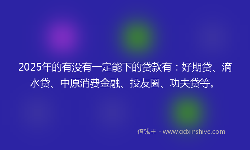 2025年的有没有一定能下的贷款有：好期贷、滴水贷、中原消费金融、投友圈、功夫贷等。