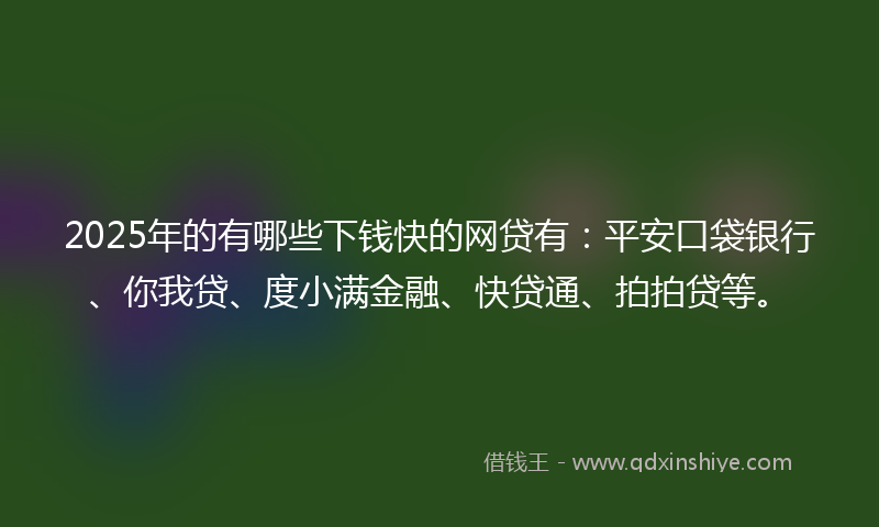 2025年的有哪些下钱快的网贷有：平安口袋银行、你我贷、度小满金融、快贷通、拍拍贷等。