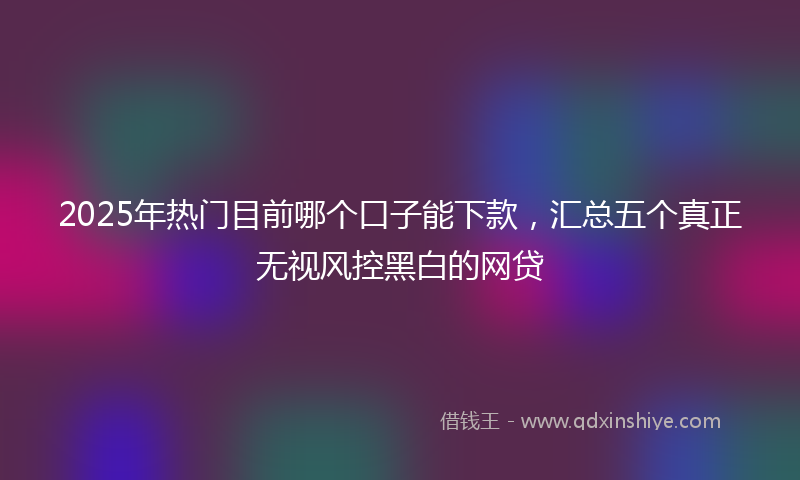 2025年热门目前哪个口子能下款，汇总五个真正无视风控黑白的网贷