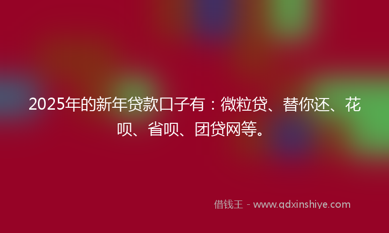 2025年的新年贷款口子有：微粒贷、替你还、花呗、省呗、团贷网等。
