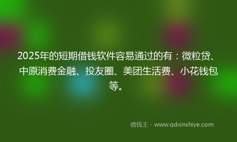 2025年的短期借钱软件容易通过的有：微粒贷、中原消费金融、投友圈、美团生活费、小花钱包等。