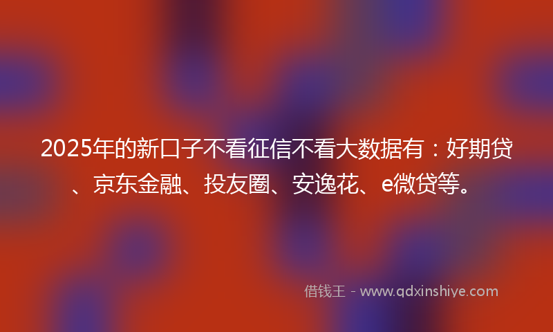 2025年的新口子不看征信不看大数据有：好期贷、京东金融、投友圈、安逸花、e微贷等。