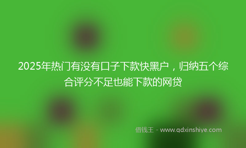 2025年热门有没有口子下款快黑户，归纳五个综合评分不足也能下款的网贷