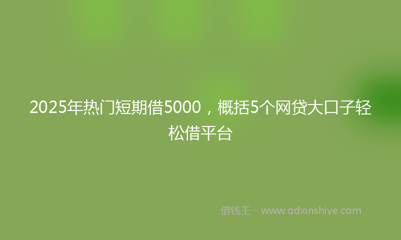 2025年热门短期借5000，概括5个网贷大口子轻松借平台