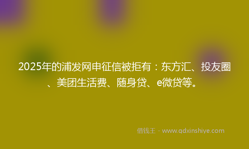2025年的浦发网申征信被拒有：东方汇、投友圈、美团生活费、随身贷、e微贷等。