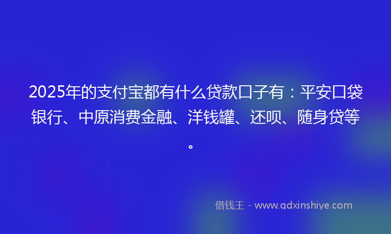 2025年的支付宝都有什么贷款口子有：平安口袋银行、中原消费金融、洋钱罐、还呗、随身贷等。