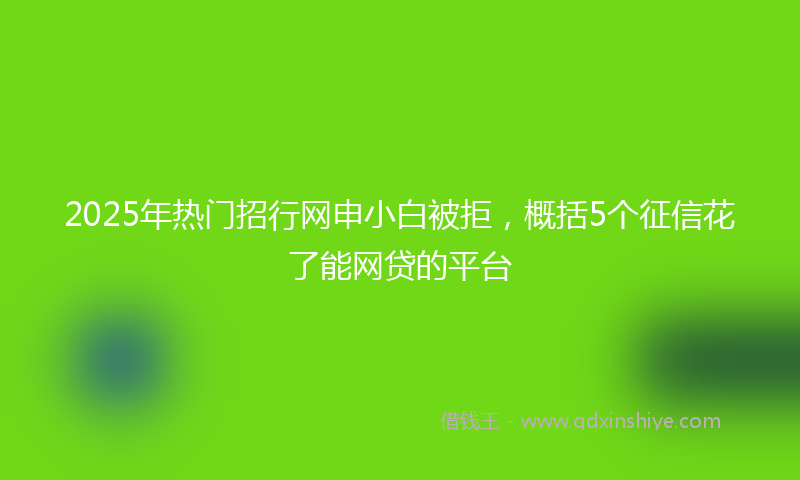2025年热门招行网申小白被拒，概括5个征信花了能网贷的平台