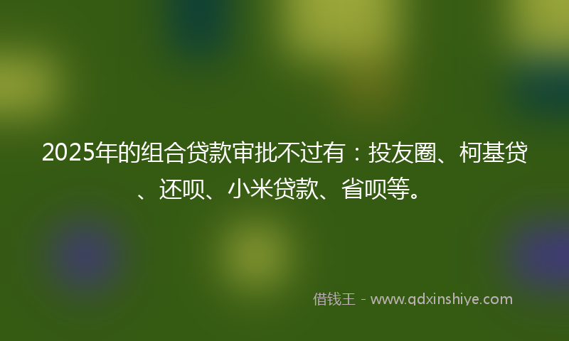 2025年的组合贷款审批不过有：投友圈、柯基贷、还呗、小米贷款、省呗等。
