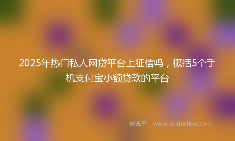 2025年热门私人网贷平台上征信吗，概括5个手机支付宝小额贷款的平台