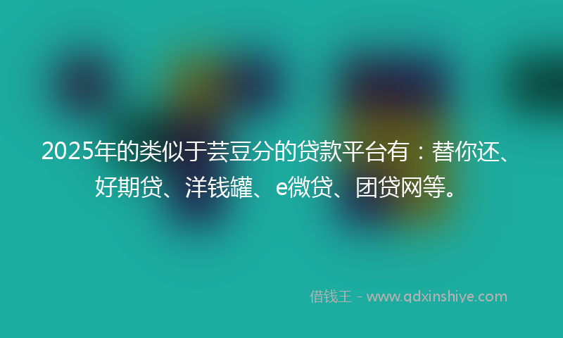 2025年的类似于芸豆分的贷款平台有：替你还、好期贷、洋钱罐、e微贷、团贷网等。