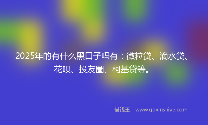 2025年的有什么黑口子吗有：微粒贷、滴水贷、花呗、投友圈、柯基贷等。