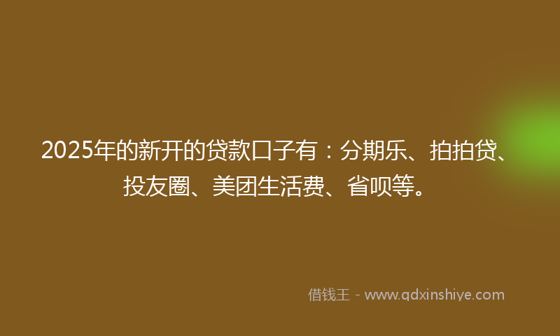 2025年的新开的贷款口子有：分期乐、拍拍贷、投友圈、美团生活费、省呗等。