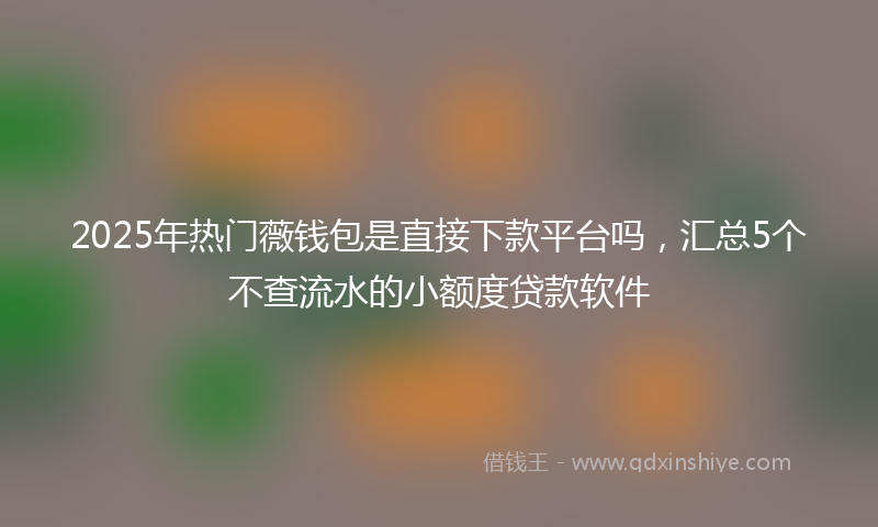 2025年热门薇钱包是直接下款平台吗，汇总5个不查流水的小额度贷款软件