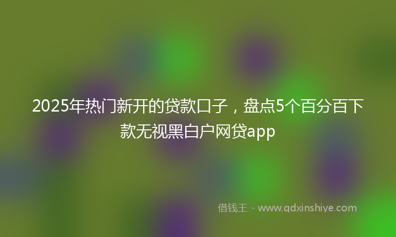 2025年热门新开的贷款口子，盘点5个百分百下款无视黑白户网贷app