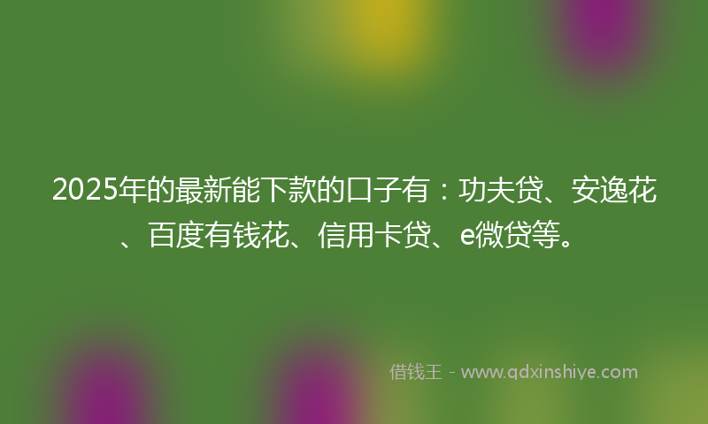 2025年的最新能下款的口子有：功夫贷、安逸花、百度有钱花、信用卡贷、e微贷等。