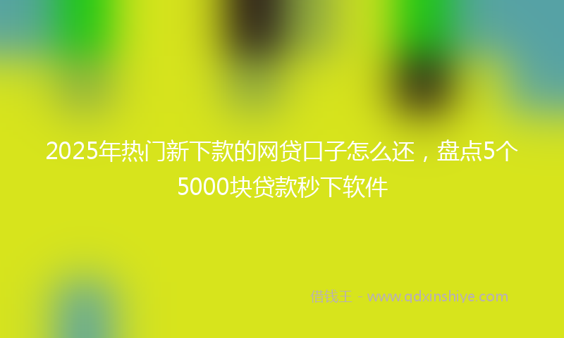 2025年热门新下款的网贷口子怎么还，盘点5个5000块贷款秒下软件