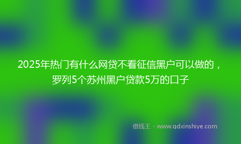 2025年热门有什么网贷不看征信黑户可以做的，罗列5个苏州黑户贷款5万的口子