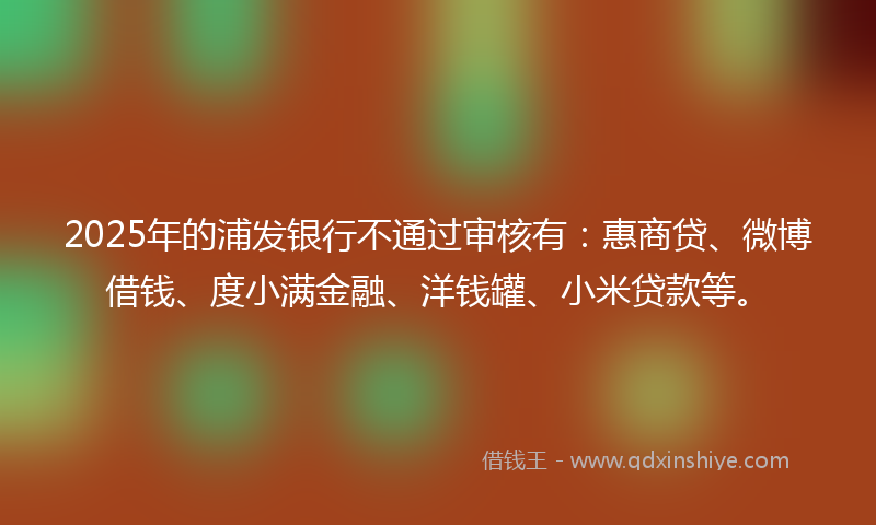 2025年的浦发银行不通过审核有：惠商贷、微博借钱、度小满金融、洋钱罐、小米贷款等。