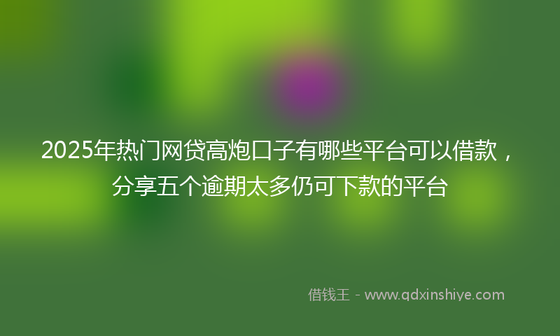 2025年热门网贷高炮口子有哪些平台可以借款，分享五个逾期太多仍可下款的平台