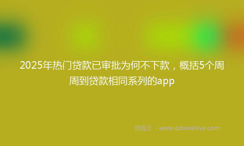 2025年热门贷款已审批为何不下款，概括5个周周到贷款相同系列的app