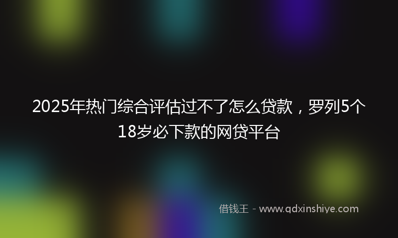 2025年热门综合评估过不了怎么贷款，罗列5个18岁必下款的网贷平台