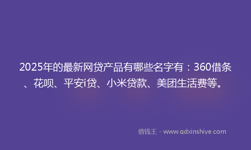 2025年的最新网贷产品有哪些名字有：360借条、花呗、平安i贷、小米贷款、美团生活费等。