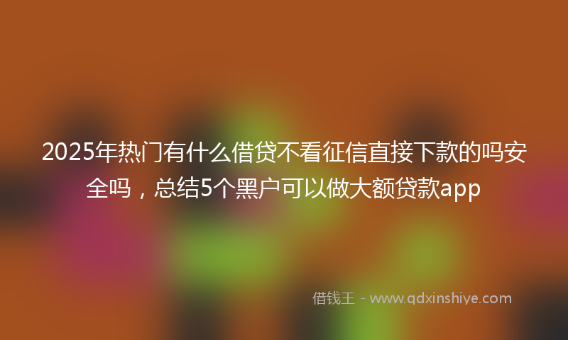 2025年热门有什么借贷不看征信直接下款的吗安全吗，总结5个黑户可以做大额贷款app