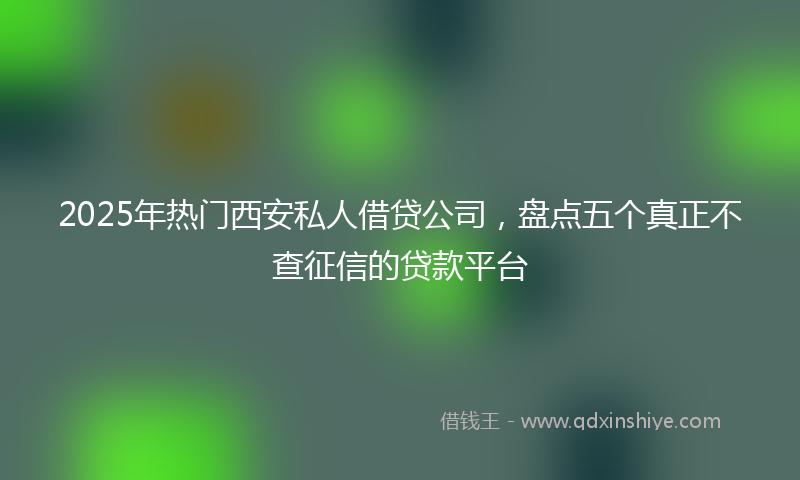 2025年热门西安私人借贷公司，盘点五个真正不查征信的贷款平台
