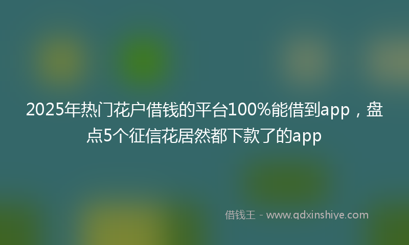 2025年热门花户借钱的平台100%能借到app，盘点5个征信花居然都下款了的app