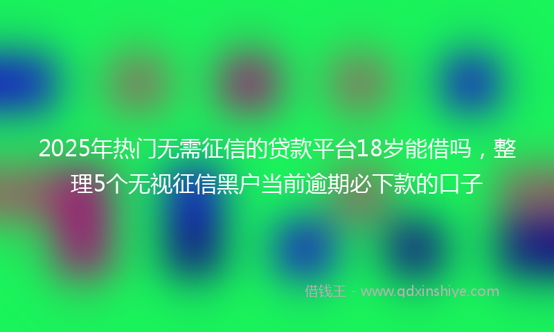 2025年热门无需征信的贷款平台18岁能借吗，整理5个无视征信黑户当前逾期必下款的口子