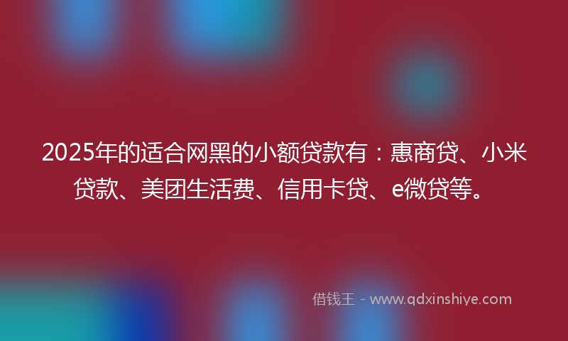 2025年的适合网黑的小额贷款有：惠商贷、小米贷款、美团生活费、信用卡贷、e微贷等。