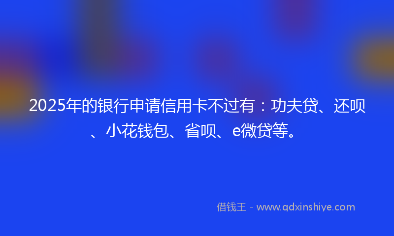 2025年的银行申请信用卡不过有：功夫贷、还呗、小花钱包、省呗、e微贷等。