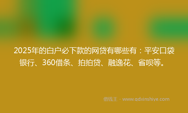2025年的白户必下款的网贷有哪些有：平安口袋银行、360借条、拍拍贷、融逸花、省呗等。