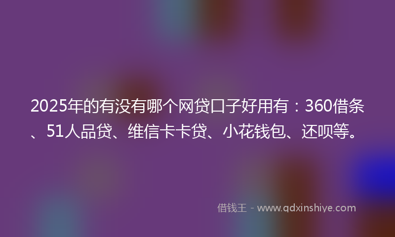 2025年的有没有哪个网贷口子好用有：360借条、51人品贷、维信卡卡贷、小花钱包、还呗等。