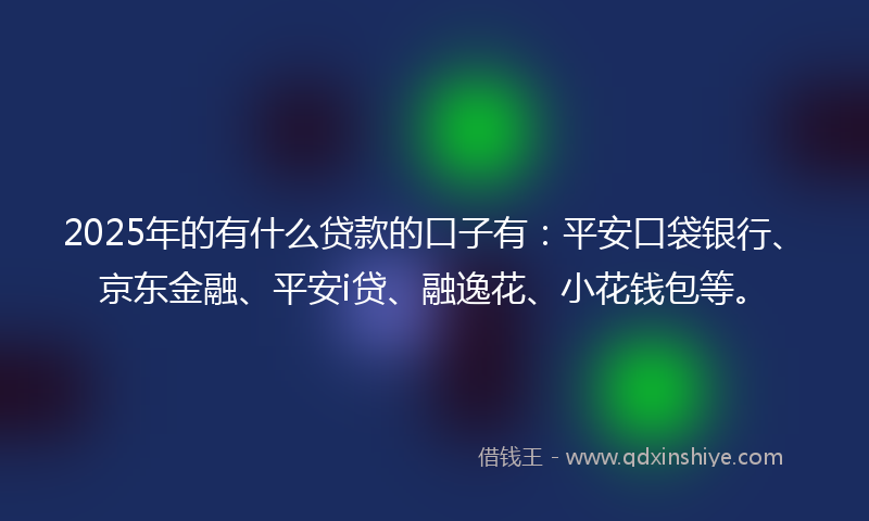 2025年的有什么贷款的口子有：平安口袋银行、京东金融、平安i贷、融逸花、小花钱包等。