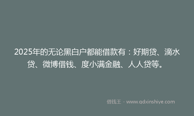 2025年的无论黑白户都能借款有：好期贷、滴水贷、微博借钱、度小满金融、人人贷等。