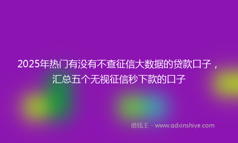 2025年热门有没有不查征信大数据的贷款口子，汇总五个无视征信秒下款的口子
