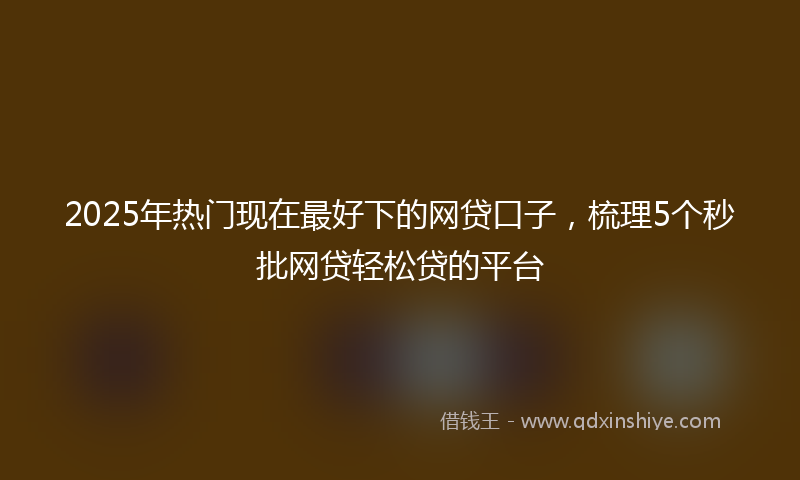 2025年热门现在最好下的网贷口子，梳理5个秒批网贷轻松贷的平台