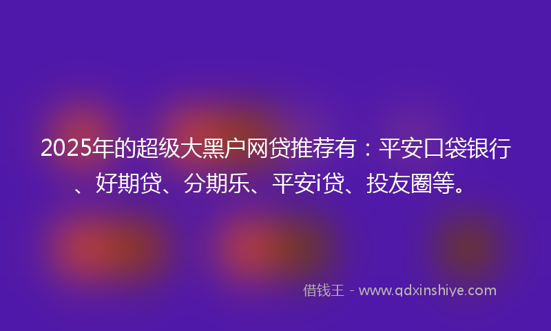 2025年的超级大黑户网贷推荐有：平安口袋银行、好期贷、分期乐、平安i贷、投友圈等。