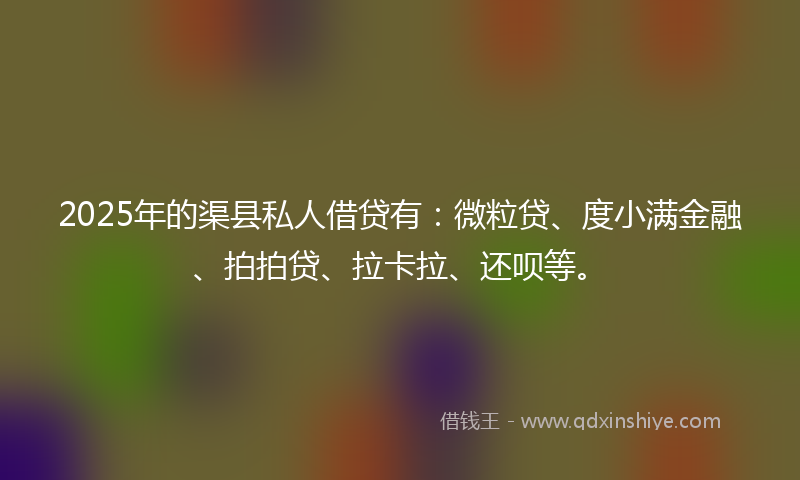 2025年的渠县私人借贷有：微粒贷、度小满金融、拍拍贷、拉卡拉、还呗等。