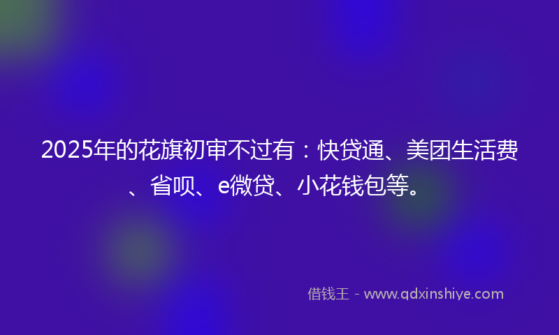 2025年的花旗初审不过有：快贷通、美团生活费、省呗、e微贷、小花钱包等。